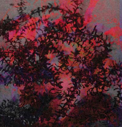 If I Love You [Vinyl]