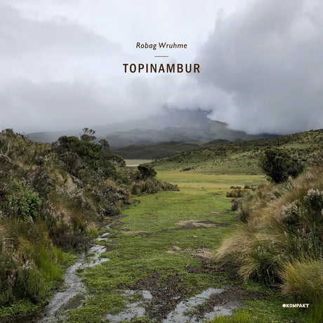 Topinambur (Vinyl)
