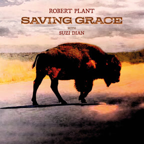 Saving Grace (140G Black Vinyl) (Vinyl)