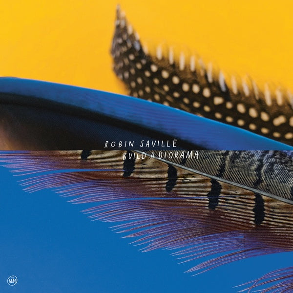 Build A Diorama (Vinyl)