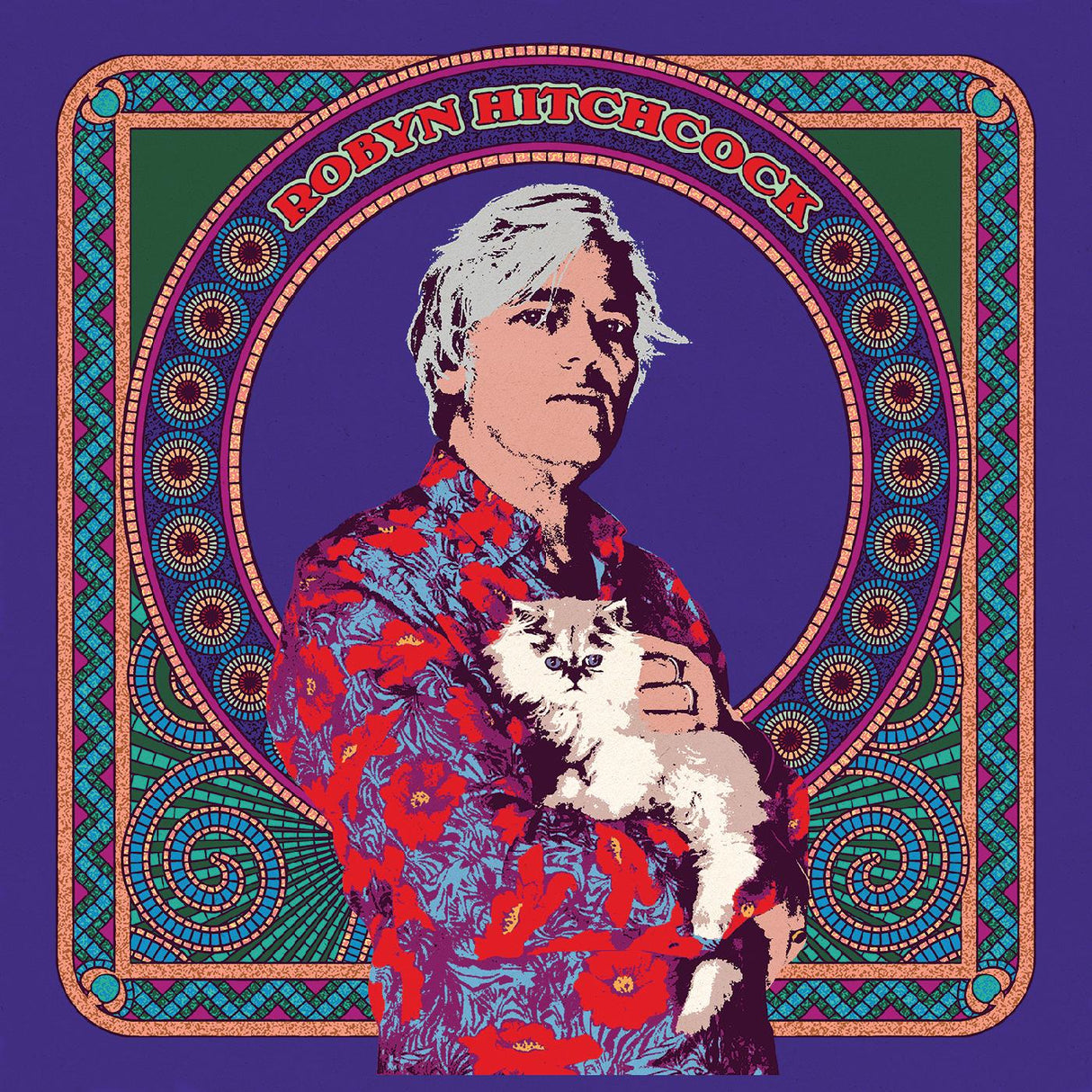 Robyn Hitchcock Robyn Hitchcock（5 周年纪念）（霓虹绿黑胶唱片）[唱片 &amp; LP]