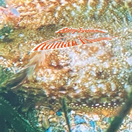 Balmy Evening (Vinyl)