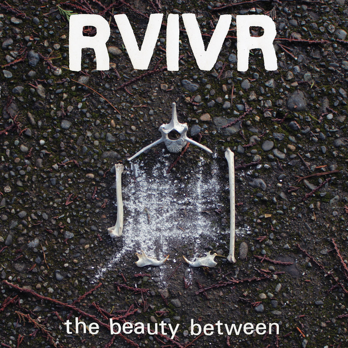 RVIVR - The Beauty Between [Black/Clear Vinyl] [Vinyl]