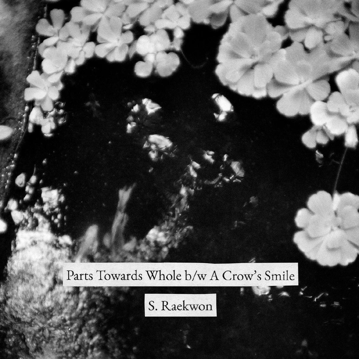 Parts Towards Whole b/w A Crow's Smile (Vinyl)