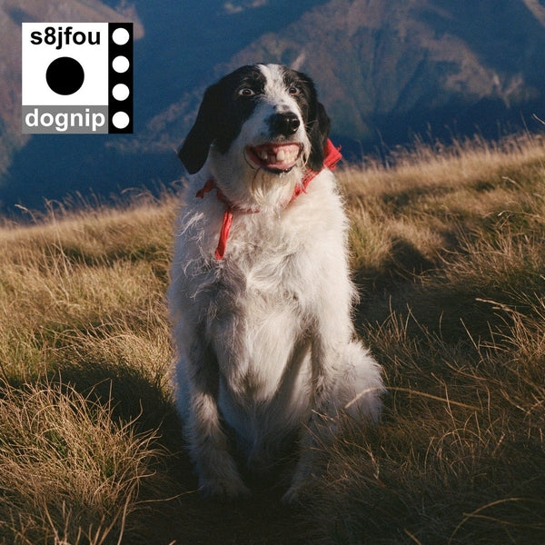Dognip (Vinyl)