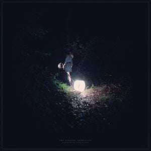 Saddest Landscape - Darkness Forgives (COLOR VINYL) [Vinyl]