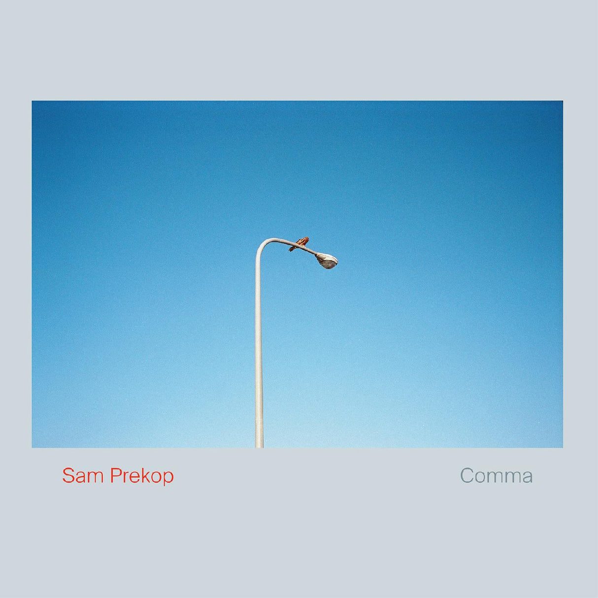 Comma (Indie Exclusive White Vinyl) [Vinyl]