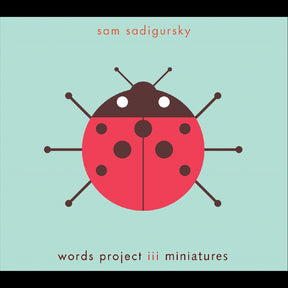 The Words Project Iii: Miniatures (CD)