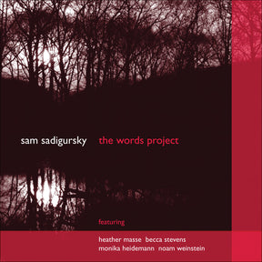 The Words Project (CD)
