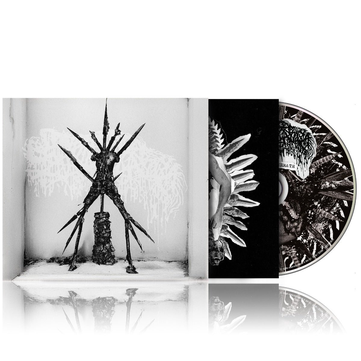 Hideous Aftermath (CD)