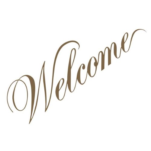 Welcome (Vinyl)