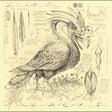 Accidental Ornithology (CD)
