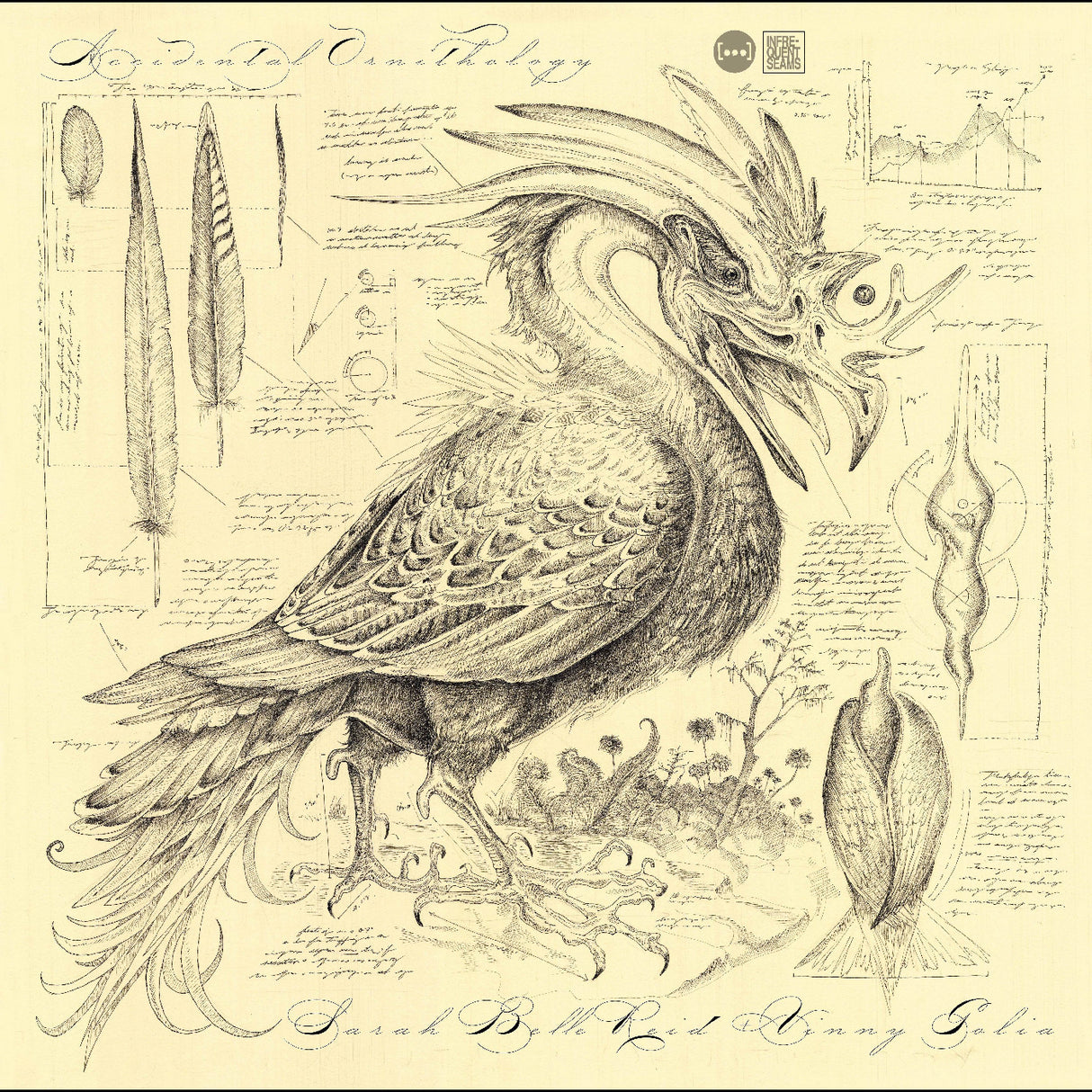 Accidental Ornithology (CD)
