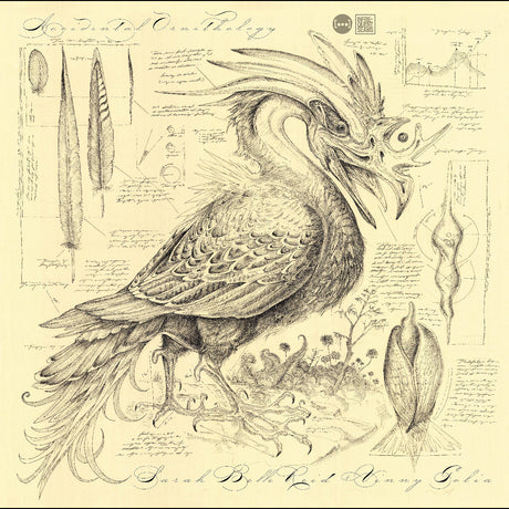 Accidental Ornithology (CD)
