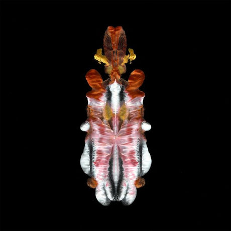 The Will To Burn (CD)