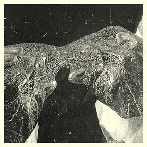 Memory Care Unit (Vinyl) - Apocalypse Vinyl