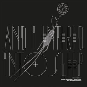 Sergio Armaroli & David Toop - Decay Music N.10: And I Entered Into Sleep [LP] [Vinyl]