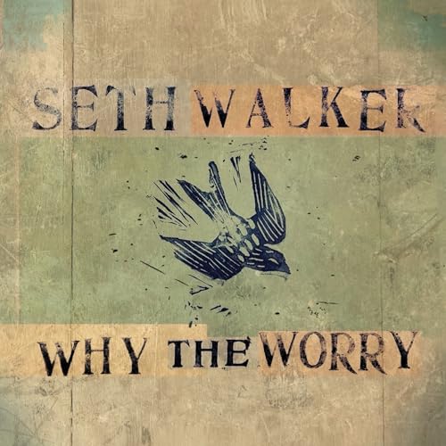 Why The Worry (CD)