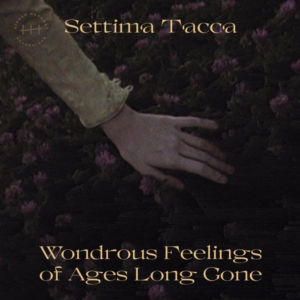 Wondrous Feelings of Ages Long Gone (Vinyl)