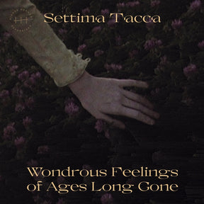 Wondrous Feelings of Ages Long Gone (Vinyl) - Apocalypse Vinyl