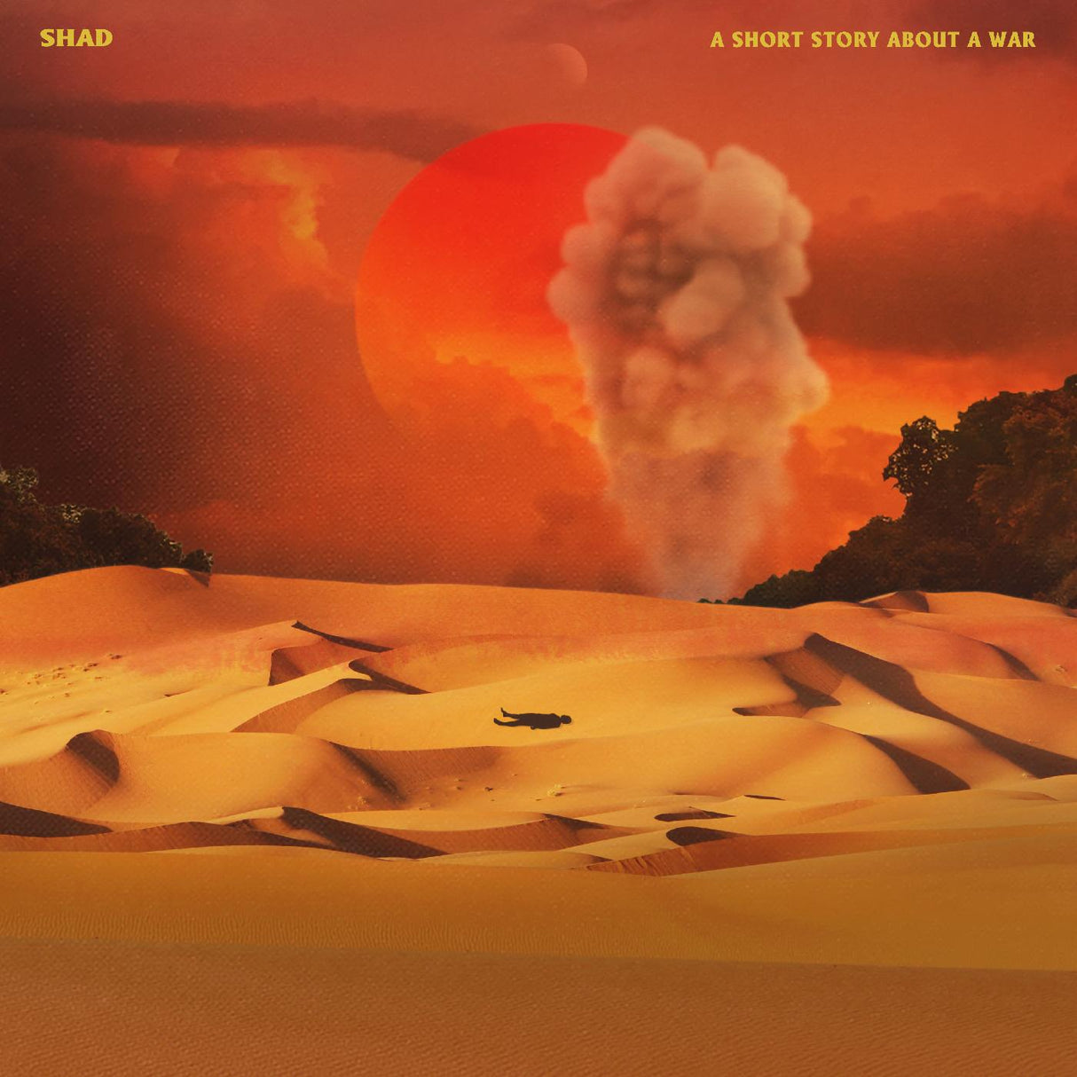 A Short Story About A War (CD)