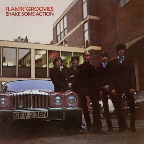 Flamin' Groovies 动起来 [唱片和 LP]