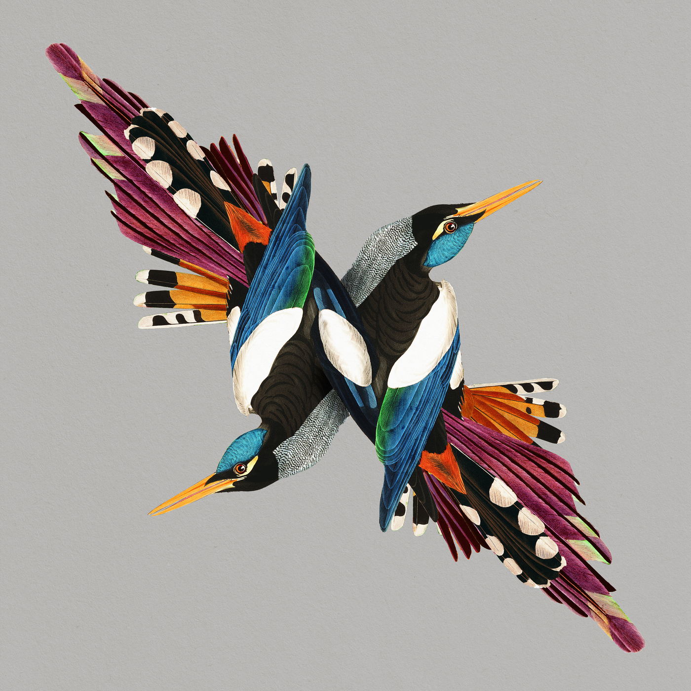 Tomorrows People (CD)