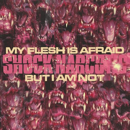 My Flesh Is Afraid But I Am Not (Vinyl)