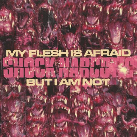 My Flesh Is Afraid But I Am Not (Vinyl)
