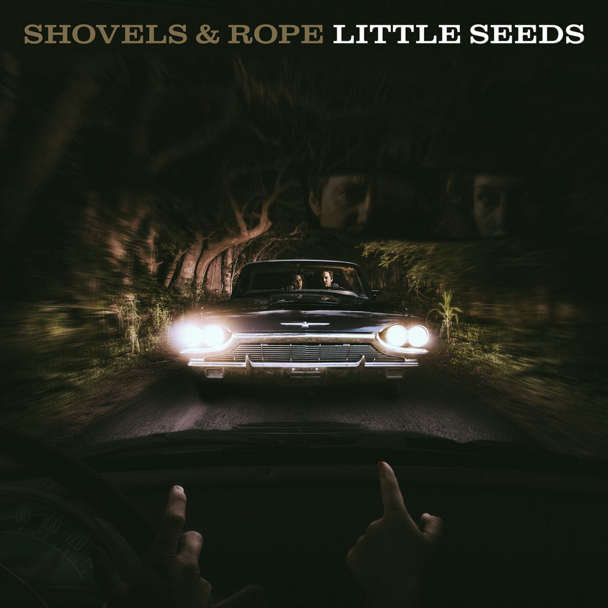 Little Seeds (CD)