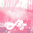 Words From A Wishing Well (Benadryl Pink Vinyl) (Vinyl)