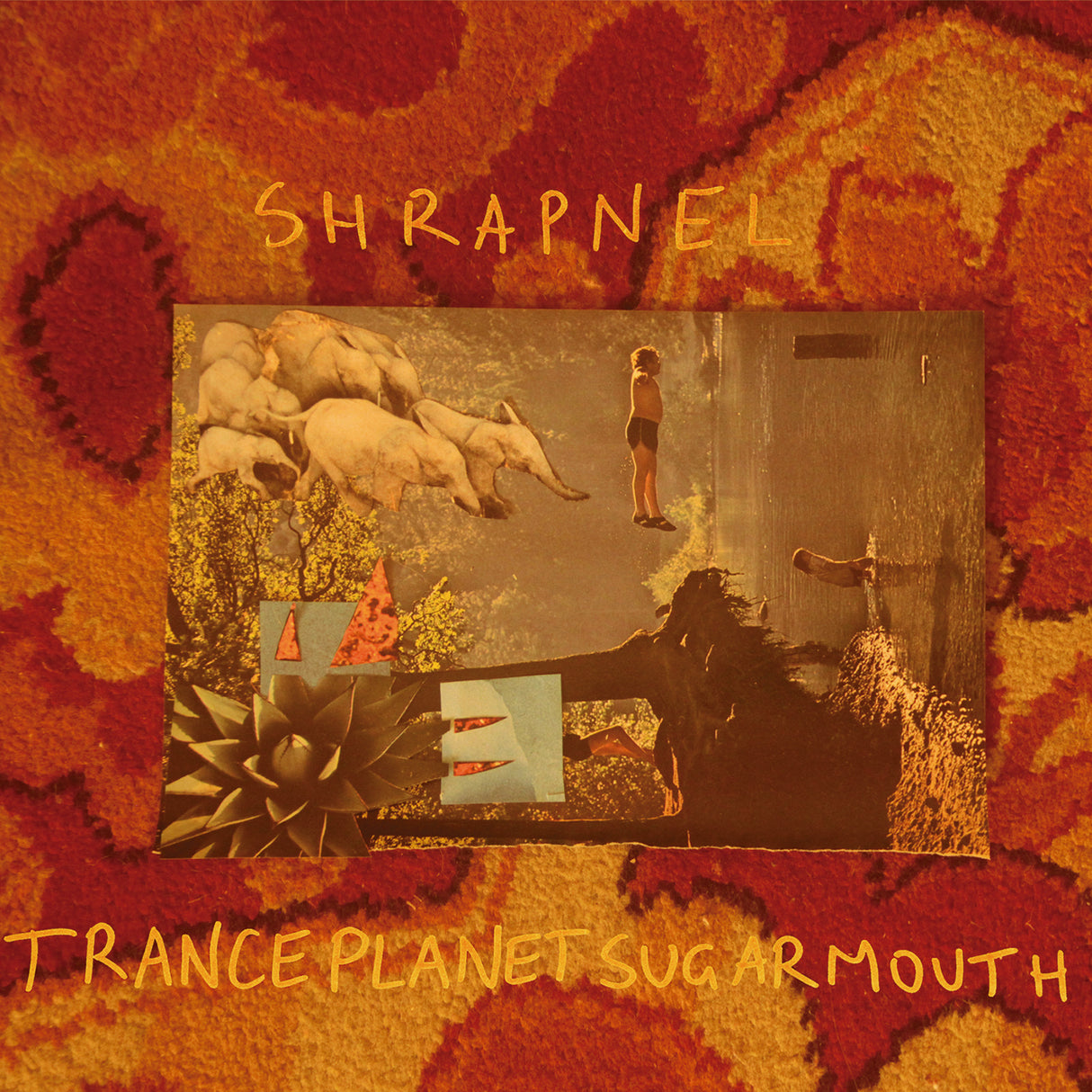 Tranceplanetsugarmouth (Vinyl)