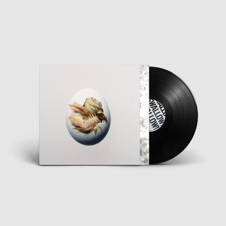 Shygirl - Swallow! [LP] [Vinyl]