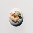 Shygirl - Swallow! [CD]