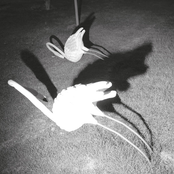 A Mimesis of Nothingness (Vinyl) - Apocalypse Vinyl