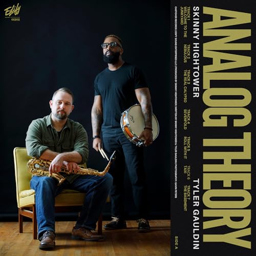 Analog Theory (Vinyl)