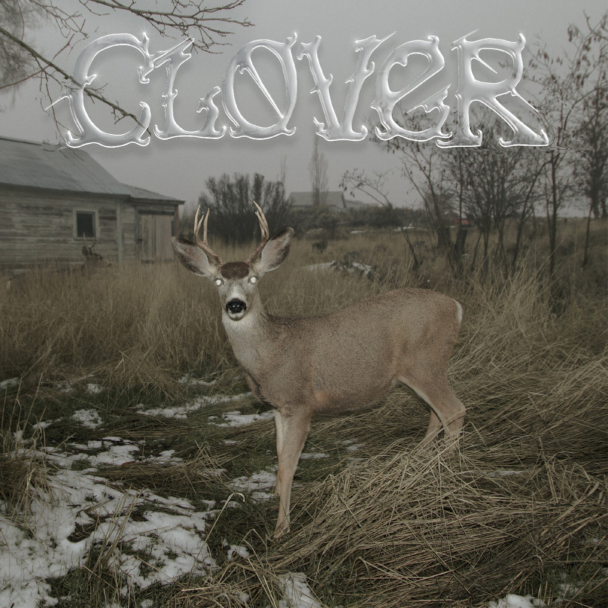 Clover (White Cassette) (Cassette)