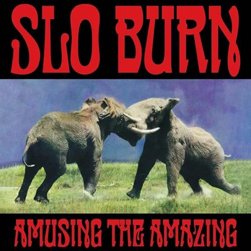 Amusing The Amazing [RSD 11.28.25] [Vinyl]