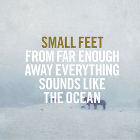 From Far Enough Away Everything Sounds Like The Ocean (Vinyl) - Apocalypse Vinyl