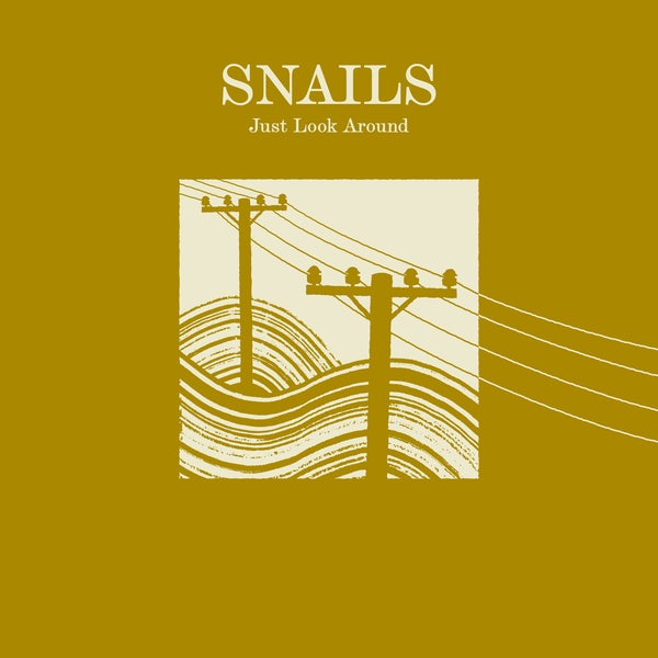 Just Look Around (Vinyl)
