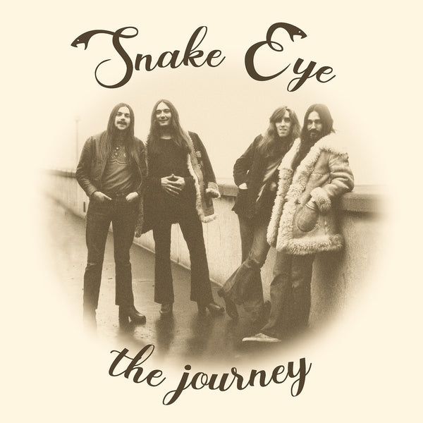 The Journey [Vinyl]
