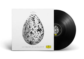 The Importance Of Birds [12" Ep] (Vinyl)