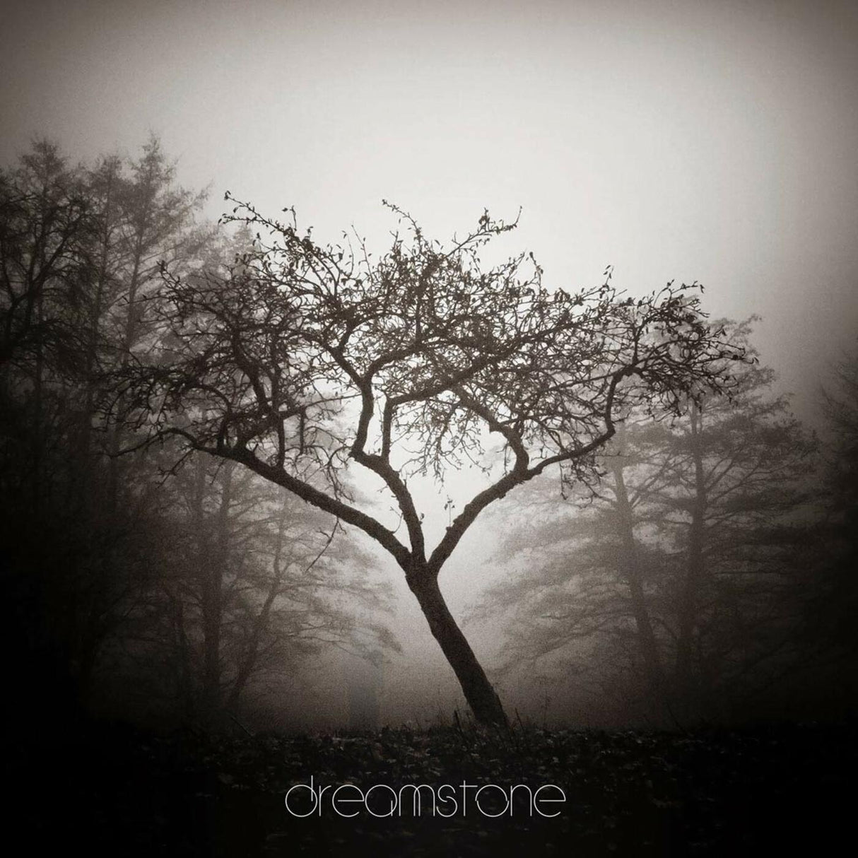 Dreamstone (CD)