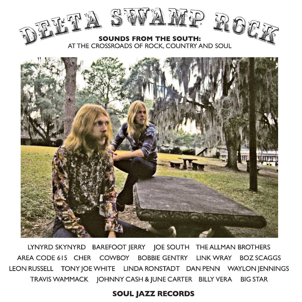 Delta Swamp Rock - Sounds From The South: At The Crossroads Of Rock, Country And Soul (Vinyl)