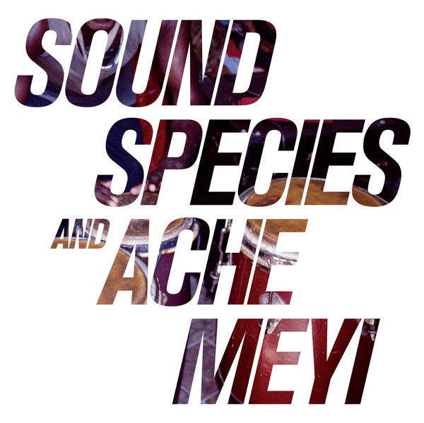 Soundspecies And Ache Meyi (Vinyl)