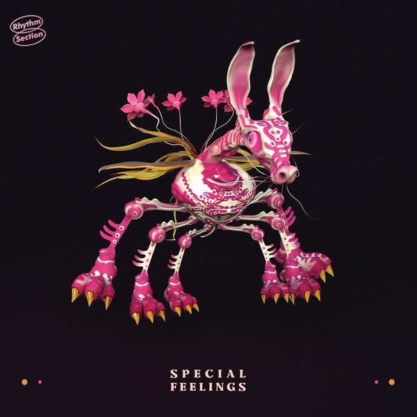 Special Feelings (Vinyl) - Apocalypse Vinyl