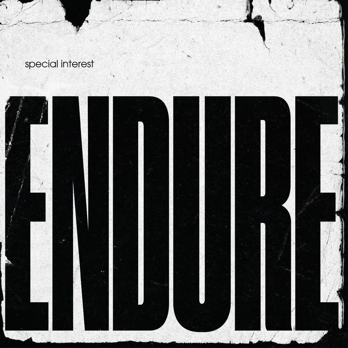 Special Interest Endure [Records & LPs]