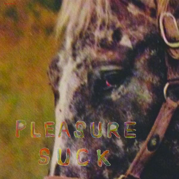 Pleasure Suck (TRANSPARENT ORANGE VINYL) (Vinyl)