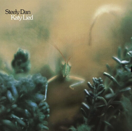 Katy Lied (180 Gram Vinyl) (Vinyl)