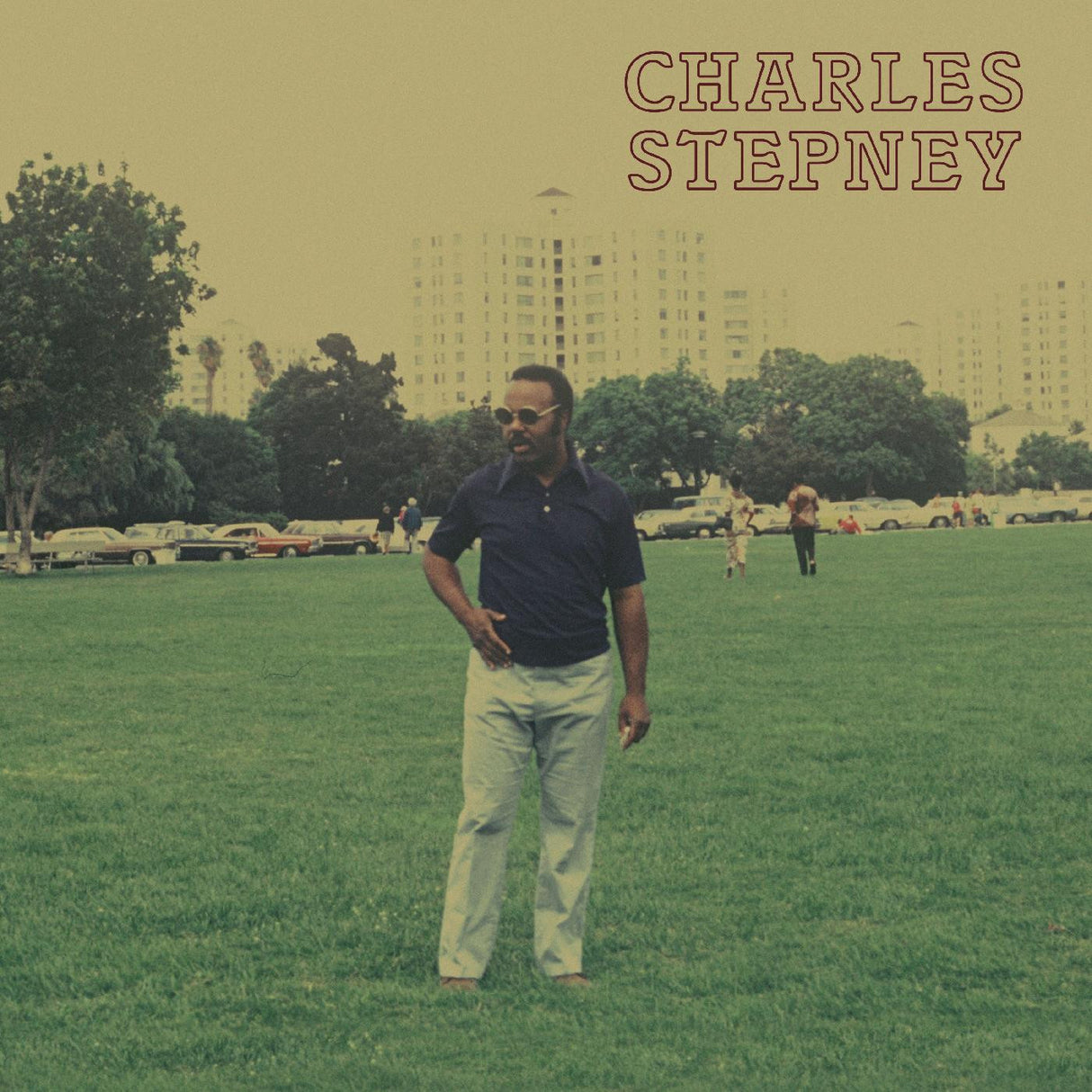 Charles Stepney Step On Step (2LP, Gold, Obi) [Records & LPs]